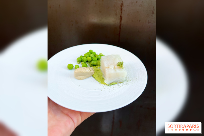 NESO Guillaume Sanchez x The Botanist