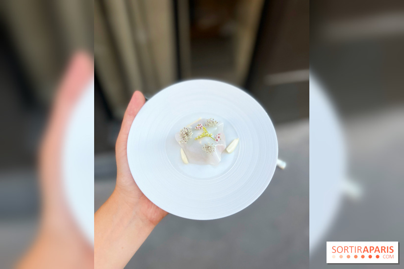 NESO Guillaume Sanchez x The Botanist