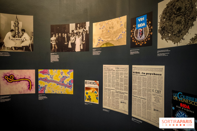 Micro mondes, une exposition à découvrir à la loupe au musée du Quai Branly, nos photos