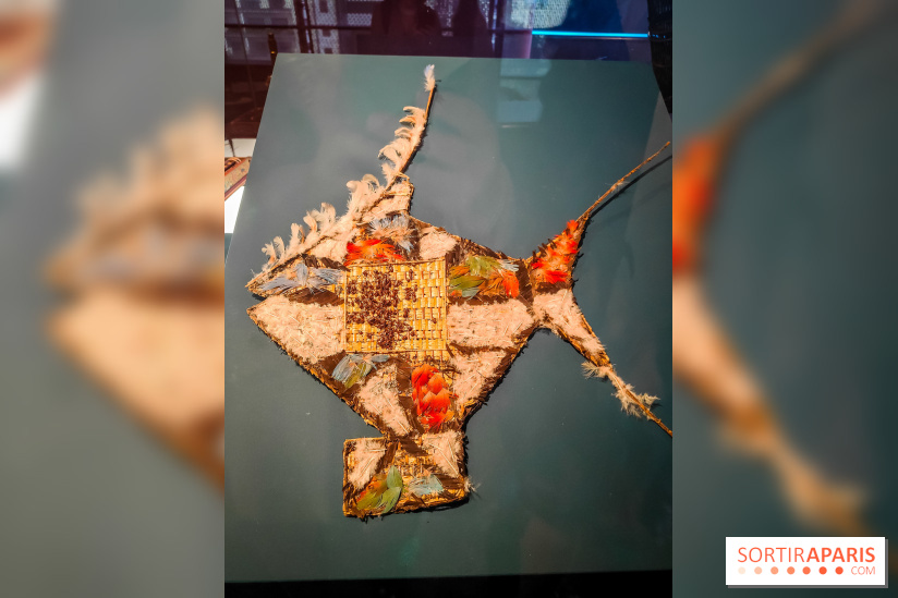 Micro mondes, une exposition à découvrir à la loupe au musée du Quai Branly, nos photos