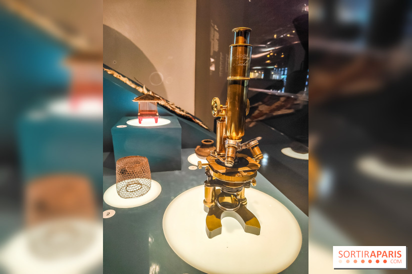 Micro mondes, une exposition à découvrir à la loupe au musée du Quai Branly, nos photos