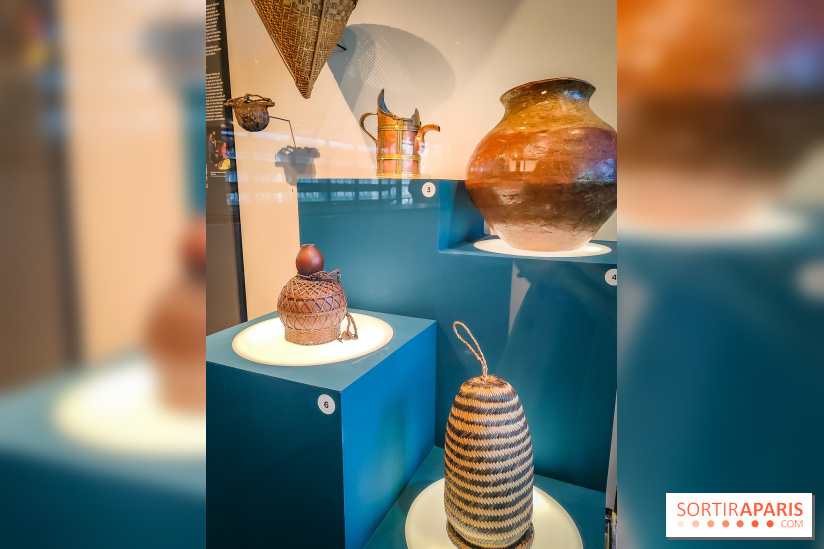 Micro mondes, une exposition à découvrir à la loupe au musée du Quai Branly, nos photos