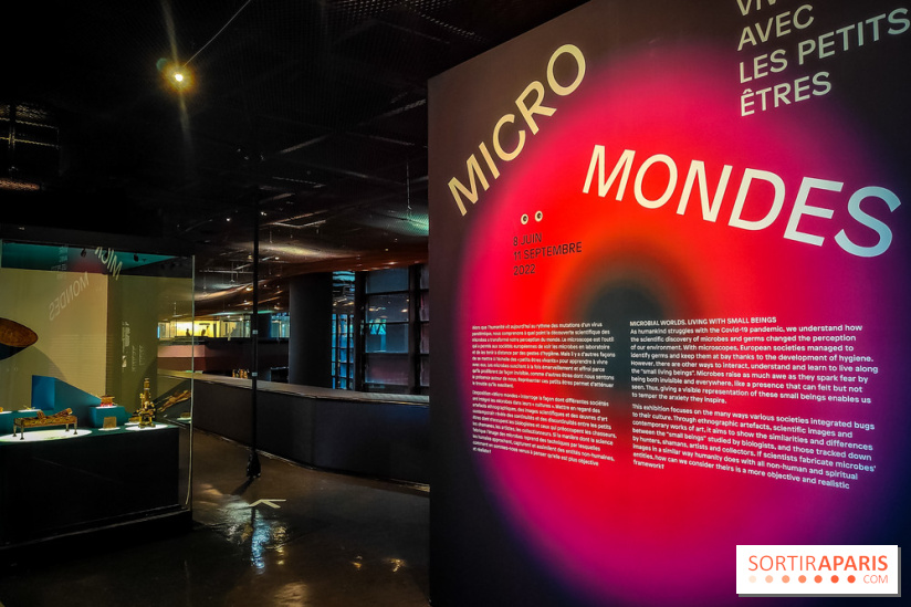 Micro mondes, une exposition à découvrir à la loupe au musée du Quai Branly, nos photos