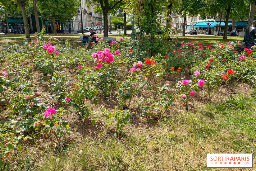 Balade sur la Petite Ceinture du 17e : la promenade Pereire