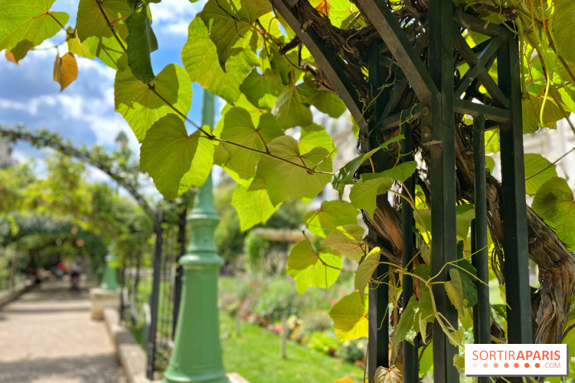 Balade sur la Petite Ceinture du 17e : la promenade Pereire