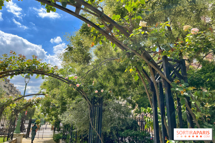 Balade sur la Petite Ceinture du 17e : la promenade Pereire