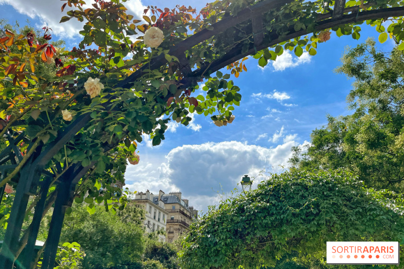 Balade sur la Petite Ceinture du 17e : la promenade Pereire