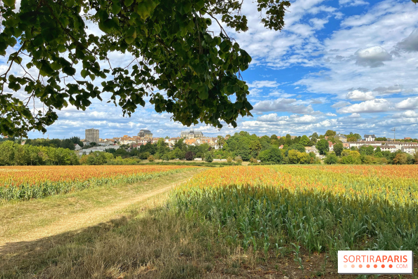 Houdan, ville médiévale et balade historique dans les Yvelines