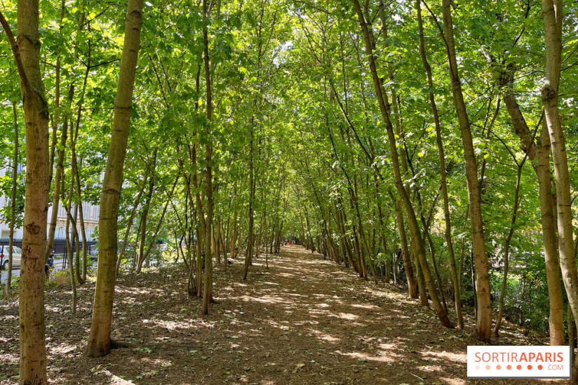Balade sur la Petite Ceinture du 14 au 16e arrondissement : un sentier nature dépaysant