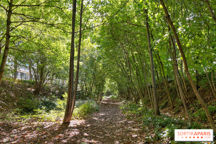 Balade sur la Petite Ceinture du 14 au 16e arrondissement : un sentier nature dépaysant