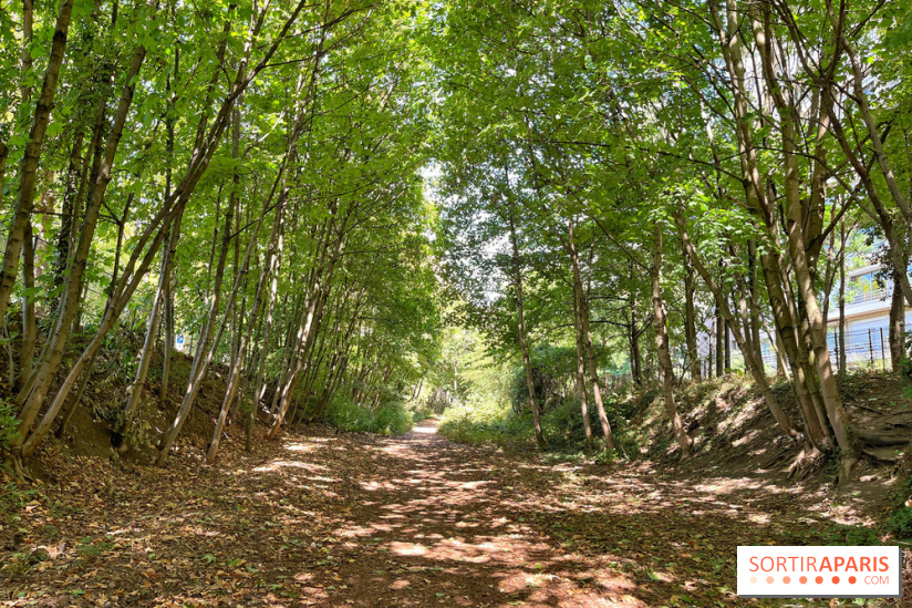 Balade sur la Petite Ceinture du 14 au 16e arrondissement : un sentier nature dépaysant