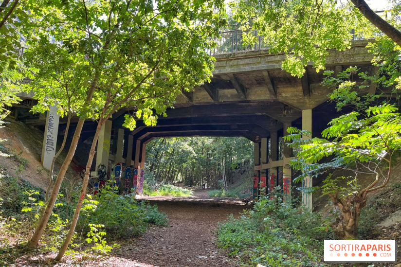 Balade sur la Petite Ceinture du 14 au 16e arrondissement : un sentier nature dépaysant