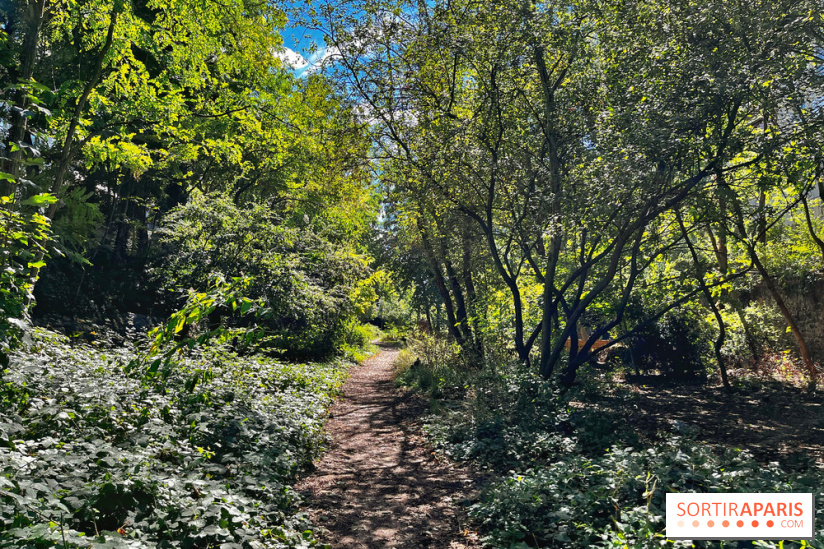 Balade sur la Petite Ceinture du 14 au 16e arrondissement : un sentier nature dépaysant