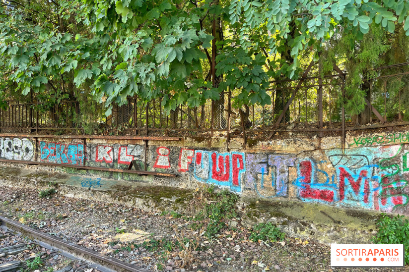 Balade sur la Petite Ceinture du 14 au 16e arrondissement : un sentier nature dépaysant
