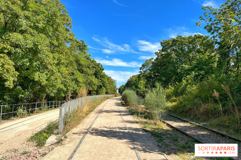 Balade sur la Petite Ceinture du 14 au 16e arrondissement : un sentier nature dépaysant