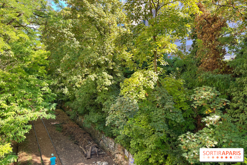 Balade sur la Petite Ceinture du 14 au 16e arrondissement : un sentier nature dépaysant