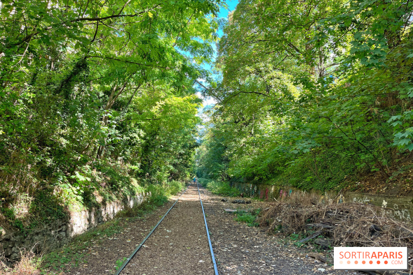 Balade sur la Petite Ceinture du 14 au 16e arrondissement : un sentier nature dépaysant