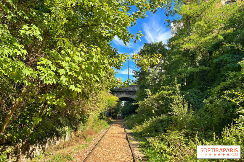 Balade sur la Petite Ceinture du 14 au 16e arrondissement : un sentier nature dépaysant
