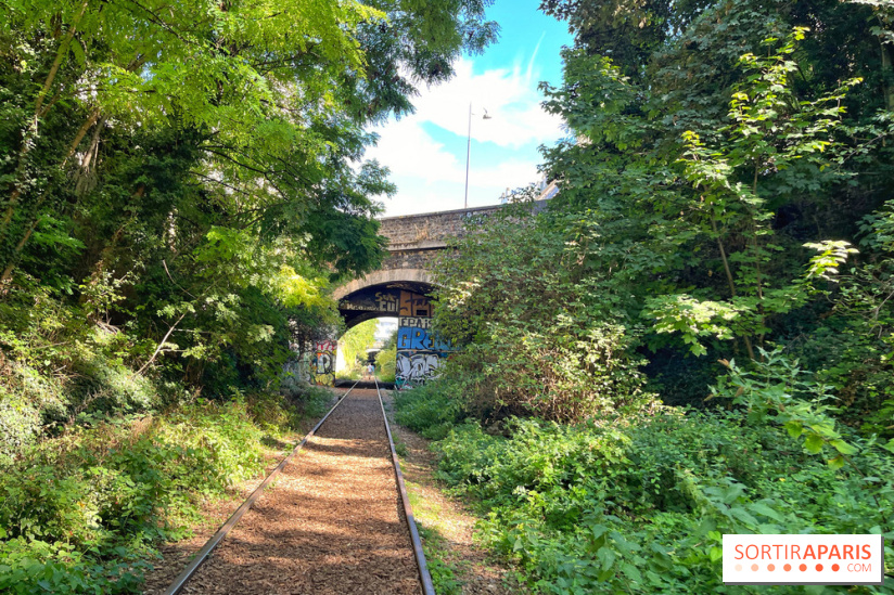 Balade sur la Petite Ceinture du 14 au 16e arrondissement : un sentier nature dépaysant