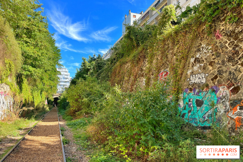 Balade sur la Petite Ceinture du 14 au 16e arrondissement : un sentier nature dépaysant