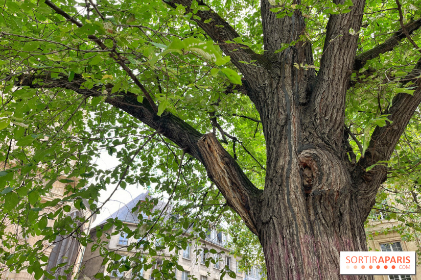 6 anecdotes ésotériques et mystérieuses autour de monuments parisiens