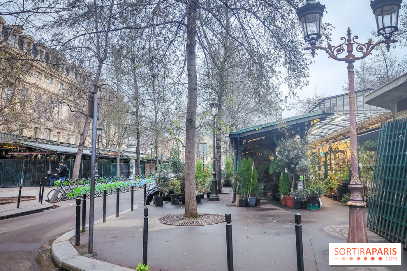 Visuels Paris - marché aux fleurs Elisabeth II