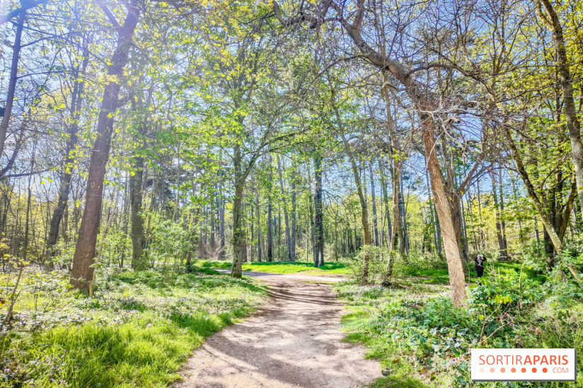 Visuels Paris - forêt bois de Boulogne nature soleil printemps