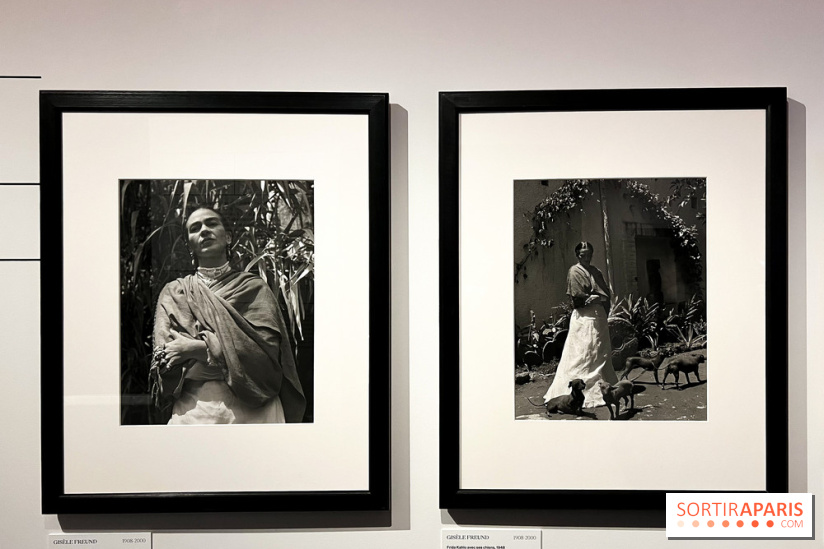 Exposition Frida Kahlo