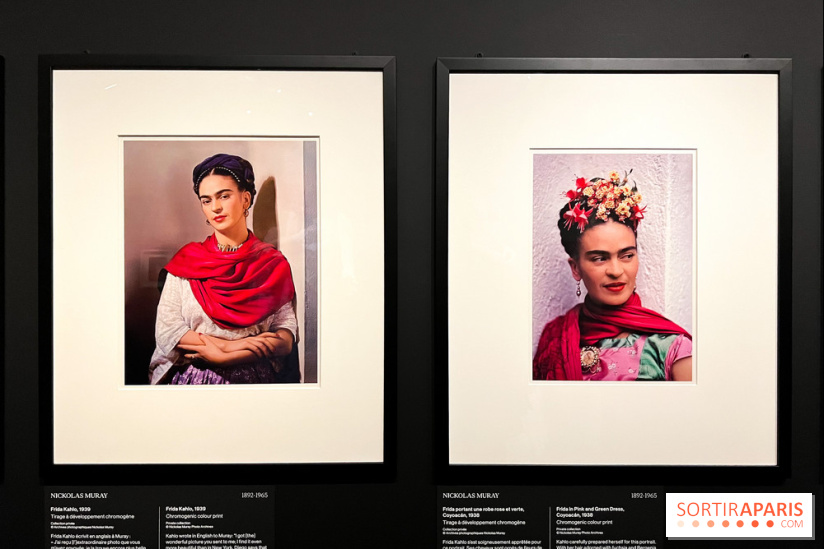 Exposition Frida Kahlo