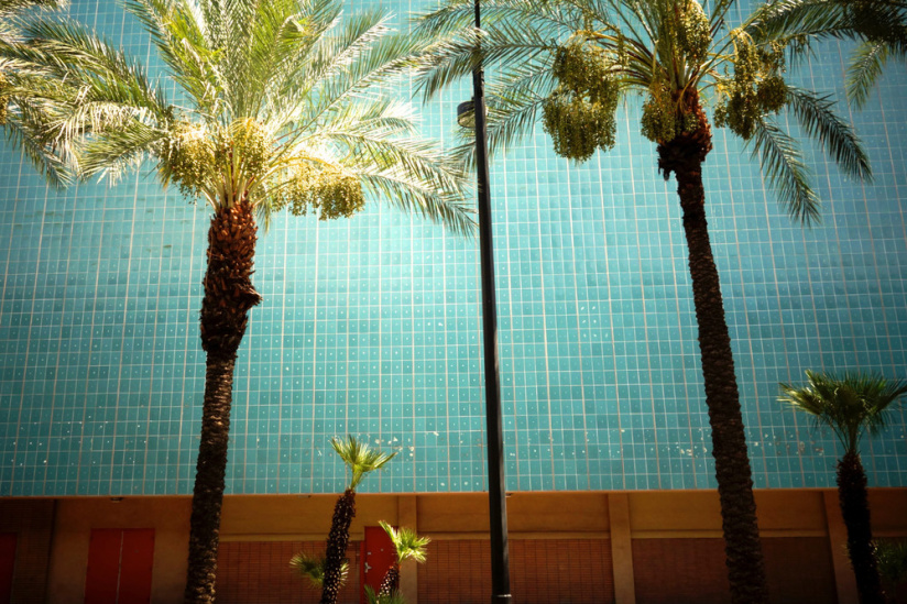 Une exposition photo gratuite de Lola James Harper pour une immersion sur la West Coast