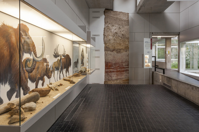 Musée Préhistoire