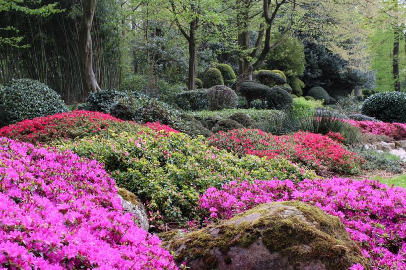 Jardin botanique Paris-Saclay