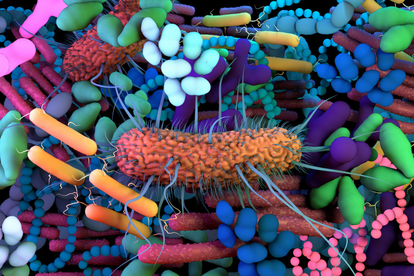 Mes microbes du ventre : une exposition ludique et gratuite pour découvrir son microbiote en famille