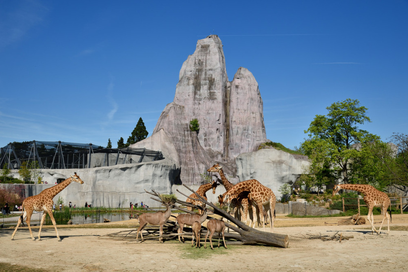 Le Parc zoologique de Paris - Zoo de Vincennes 