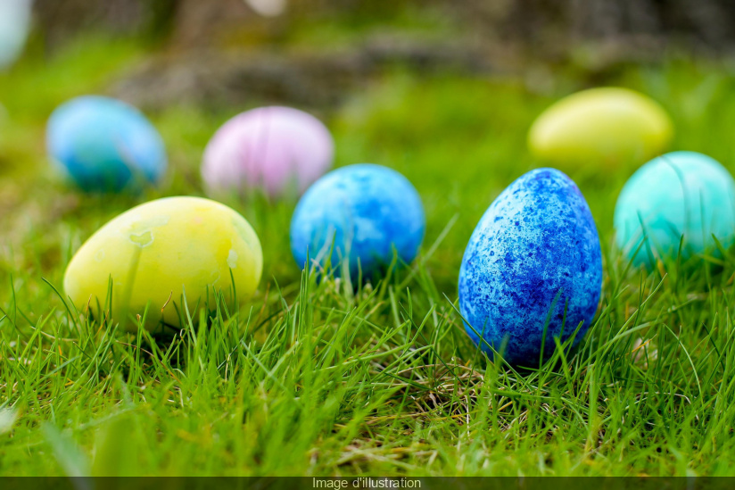 Chasses aux œufs gratuites à Paris et aux alentours 2023 : Les