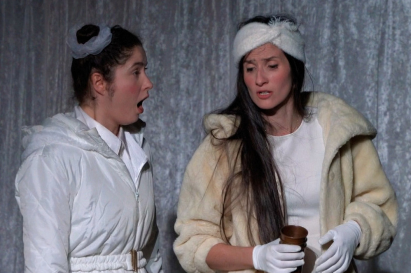 La princesse qui aimait l'hiver