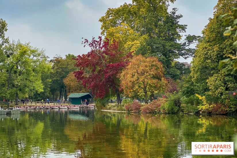 Bois de Vincennes automne