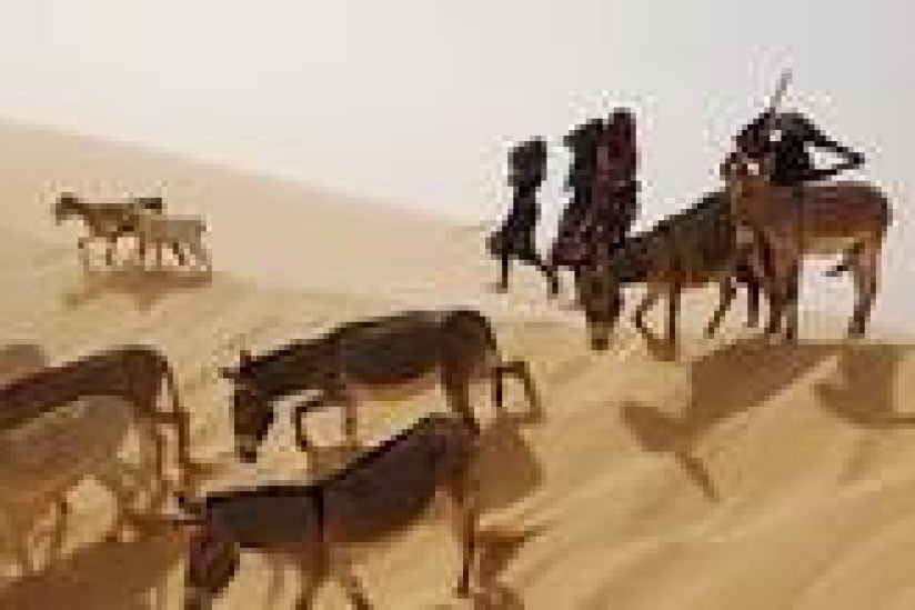 africanistes mai
quai branly