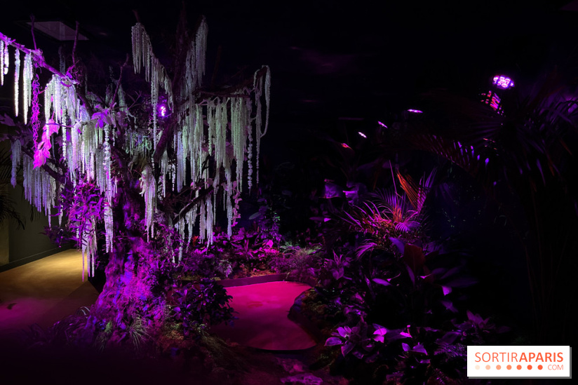 La Serre aux Papillons à La QueuelezYvelines, une jungle tropicale près de Paris