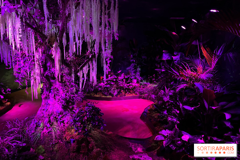 Forêt Bioluminescente - Serre Papillons