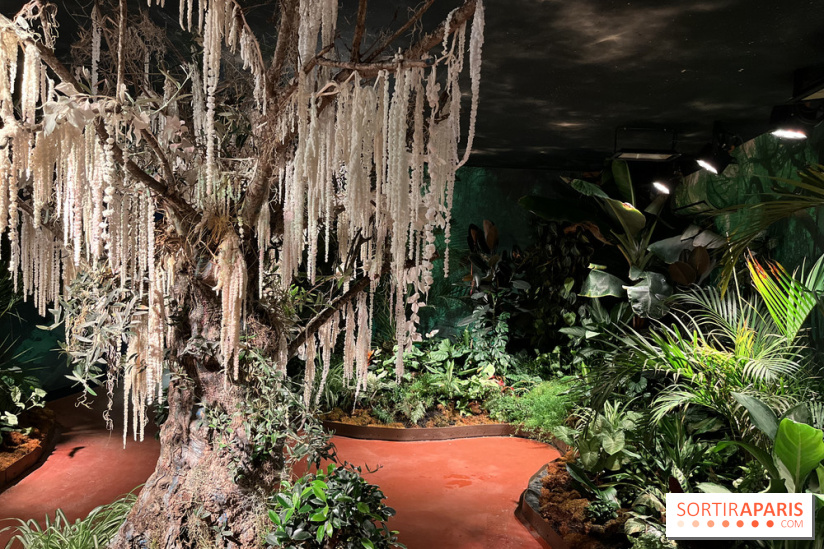 Serre Papillons - La Queue-lez-Yvelines