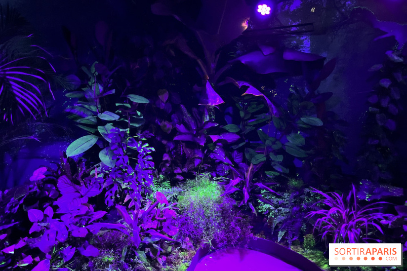 La Serre aux Papillons à La QueuelezYvelines, une jungle tropicale près de Paris