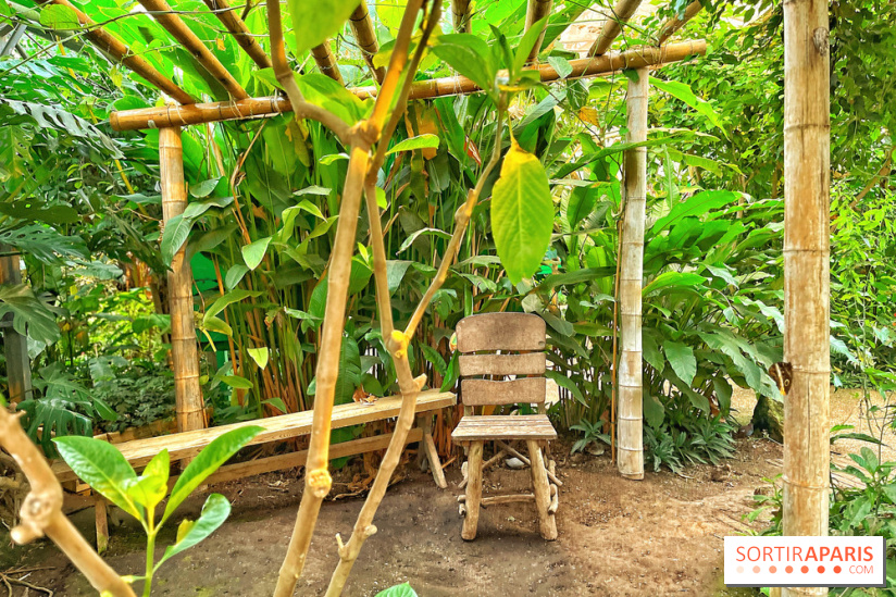 La Serre aux Papillons à La QueuelezYvelines, une jungle tropicale près de Paris