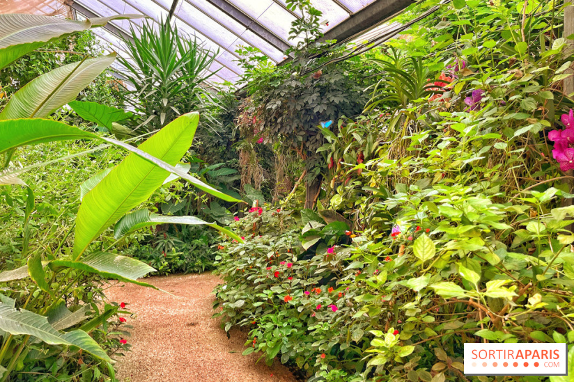 Serre Papillons - La Queue-lez-Yvelines