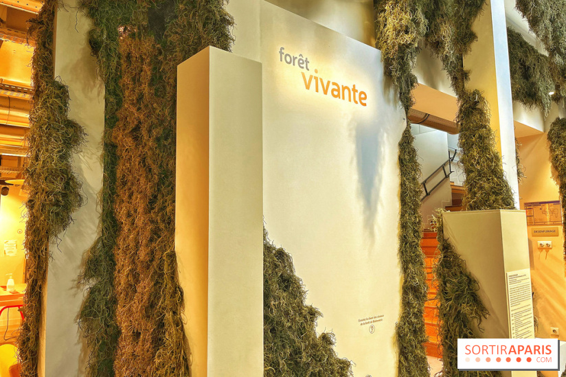 Le Chant des Forêts, l'exposition sensible et gratuite du Maif Social Club