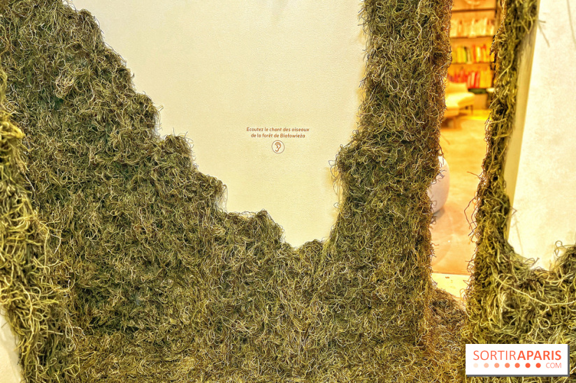 Le Chant des Forêts, l'exposition sensible et gratuite du Maif Social Club