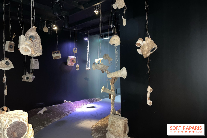 Le Chant des Forêts, l'exposition sensible et gratuite du Maif Social Club