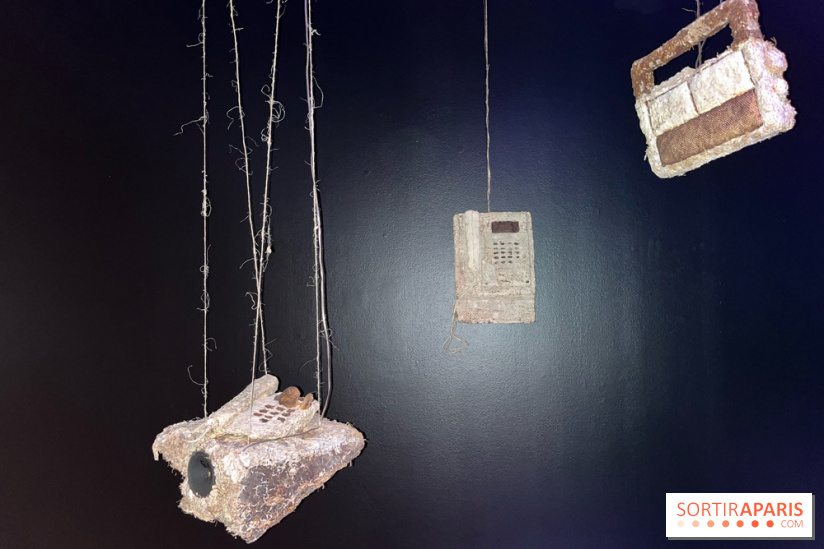 Le Chant des Forêts, l'exposition sensible et gratuite du Maif Social Club