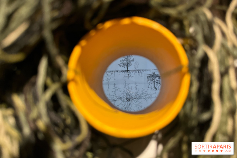 Le Chant des Forêts, l'exposition sensible et gratuite du Maif Social Club