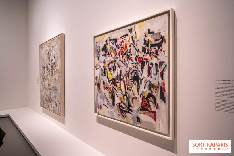 Exposition Monet - Mitchell Fondation Vuitton - Joan Mitchell  -  impressionnisme abstrait